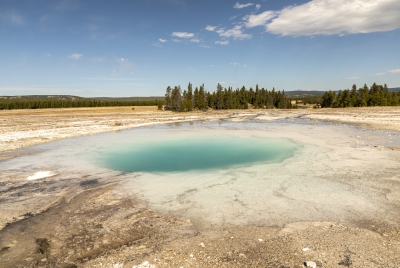 Midway Geyser Basin Yellowstone NP 2024